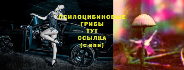 марки nbome Белокуриха