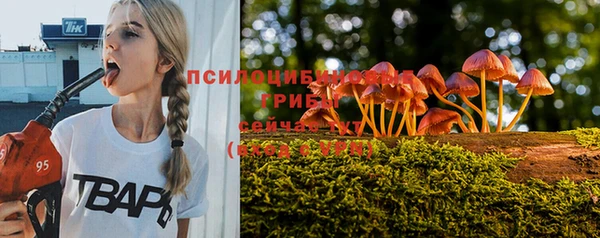 тгк Беломорск