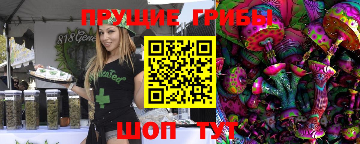 Псилоцибиновые грибы GOLDEN TEACHER  цена наркотик  Вязники  Вход с VPN 