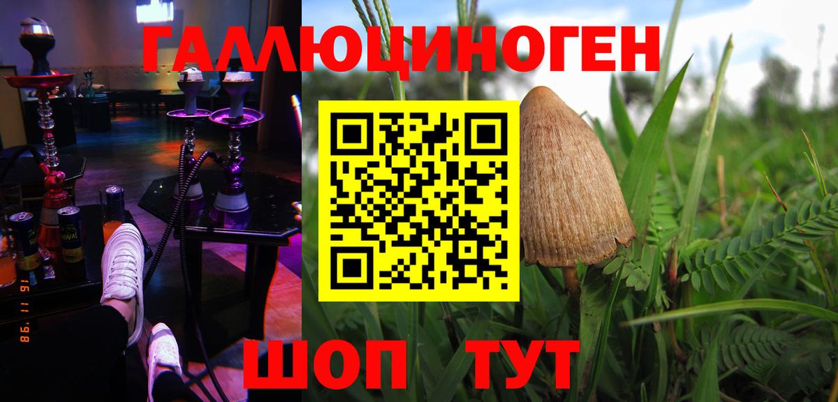 Псилоцибиновые грибы мухоморы Вязники
